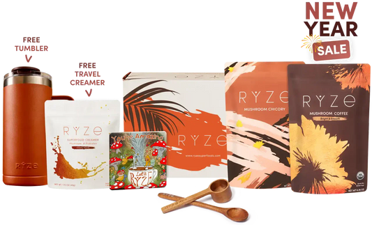 Lasting Energy Bundle Plus Nova